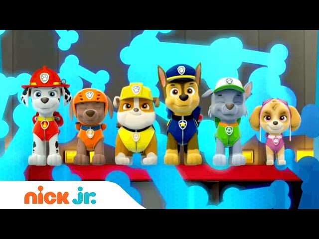 Vídeo relacionado con Paw Patrol - Pantalones de chándal para niños, color azul, azul, 98-104 cm