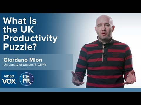 The UK productivity puzzle