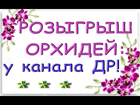 РОЗЫГРЫШ вариегатных ОРХИДЕЙ ph.Chia E Yenlin (Чиа Э Енлинь) в ДЕНЬ РОЖДЕНИЯ КАНАЛА!Нам 4 годика!