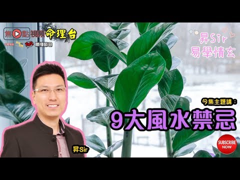 水種植物風水