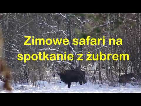 Dwór Bartnika-aktywny wypoczynek w Puszczy Białowieskiej  w komfortowych warunkach.