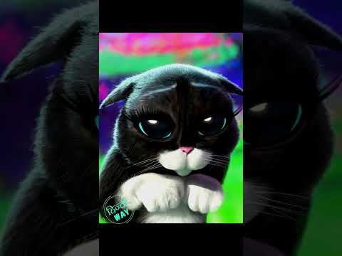 Puss in Boots: The Last Wish Hindi