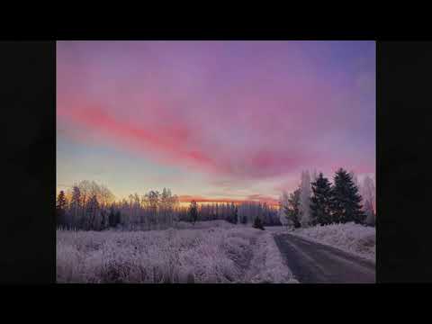 [FREE] fergy53 x yung hurn x dante yn type beat - "good morning" (prod. milon x inuyasha)