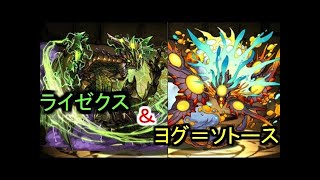 【パズドラ】ライゼクス×ヨグ＝ソトースPTの火力が凄かった