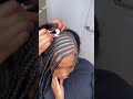 Lemonade Fulani Braids Tutorial Lemonadefulanibraids Lemonadebraids Fulanibraids