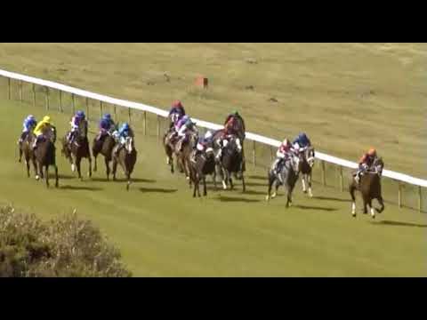 Seeking The Stars - Kenilworth 21/11/20