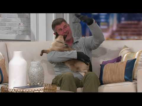 Hands On Pet Shedding Bathing & Grooming Gloves on QVC