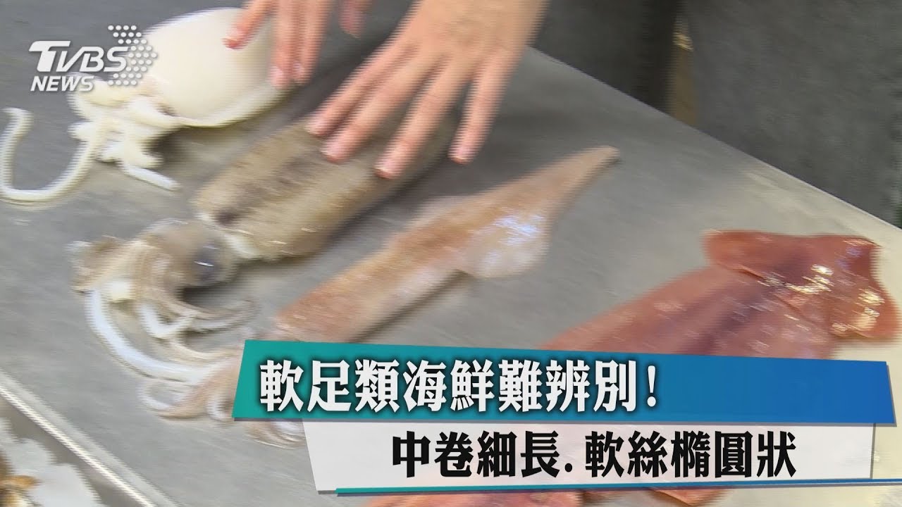 軟足類海鮮難辨別! 中卷細長、軟絲橢圓狀
