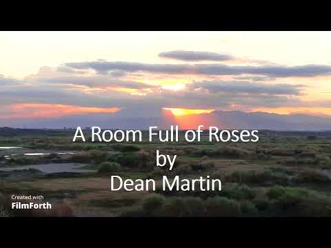 Room Full Of Roses - Dean Martin