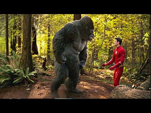 The Flash 9x05 Barry ask Grodd's Help Scene