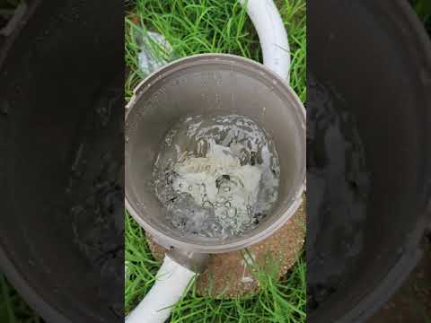 5 Things You Must Do Weekly To Your Pool #shorts