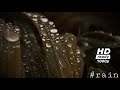 Rain WhatsApp Status Natural Rain Sound Rain Drop Mazhai Rain Puyal Tamil