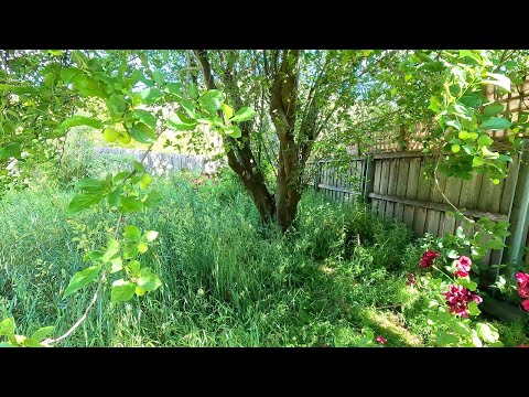 We finished this Massive Yard Cleanup Just in time for CHRISTMAS 🎄🎅