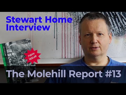 The Molehill Report #13 - Stewart Home Interview; Datacide 19 in print; New Mix Series