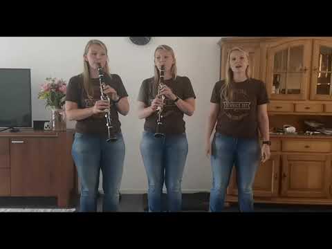 In the Summertime - Mungo Jerry cover -  clarinet duet & voice(ish)