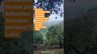 Download lagu Kata-kata Cinta Qais Laila#shorts#shortsvideo#short#shortsfeed mp3