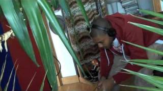 The Very Best  'Julia' KANO version