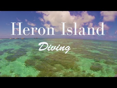 Dive Heron Island - The Great Barrier Reef