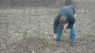 preview picture of video 'Catching Large Ants - Sandy Knoll Park - West Bend, WI'