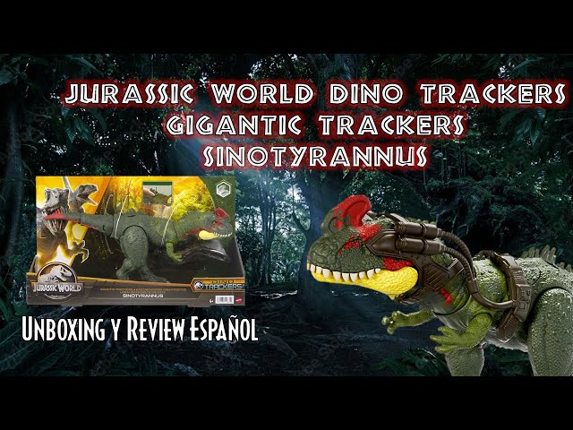 Vídeo relacionado con Mattel Jurassic World Gigantic Trackers Sinotyrannus Dinosaurio de juguete, +4 años (HLP25)