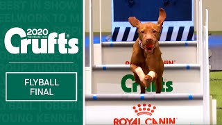 Flyball - Team Final | Crufts 2020