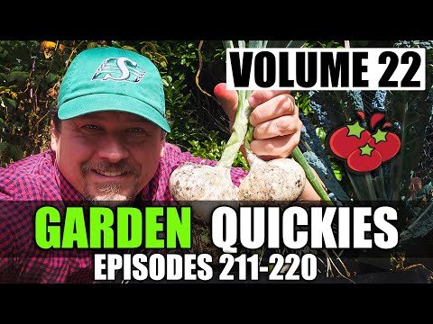 How To Grow Cucumbers Part 1 Seeding