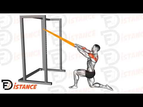 Exercice Tirage frontal élastique (à genoux)