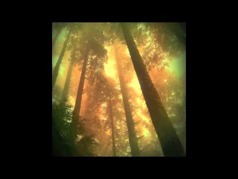 Exploration EP - "Above The Clouds ft Shadow of Mankind (Astro Gastro Remix)"