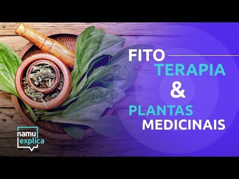 Phytotherapy and medicinal plants: main benefits - NAMU Explains