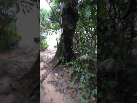 Beach on the far side of the island.