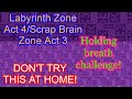 Labyrinth Zone Zone Act 4 Scrap Brain Zone Act 3 Is Horrible With This Challenge Final Zone
