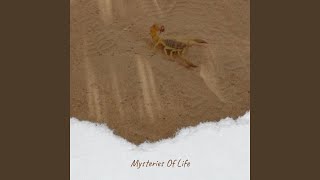 I Can&#39;t Feel You Anymore