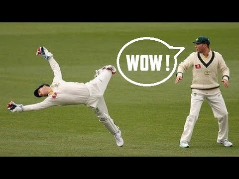 Best Wicket Keeper Catches Ever in Cricket History