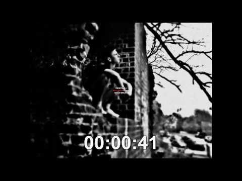 STROMY - Z Życia Dla Życia