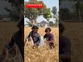 Ankit Bhaiya Kitna Bada Bada Aam Ba Funny Comedy Ankit Bhaiya