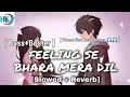 Feeling Se Bhara Tera Dil ️ Slowed Reverb Bass Boster Full Song