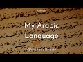 My Arabic Language | Arabi | Slowed and Reverb | Muhammad Al Muqit | Lofi