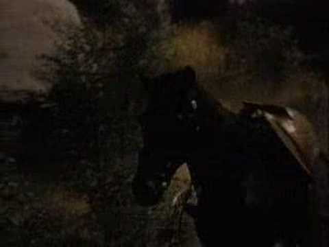 Disney's Zorro - 1x14 - Shadow of Doubt (3)