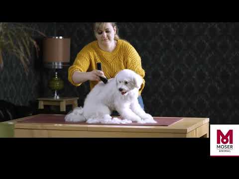 Animal Clipper Arco Pro MOSER® 1876 For the full clip of medium-sized dogs and of cats