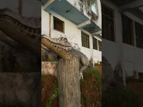 Orla de Itacoatiara Am