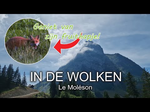NATUURLIJK OP PAD #38 - IN DE WOLKEN - Le Moléson