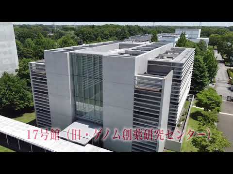 薬学科 東京理科大学薬学部キャンパス紹介動画90 秒Ver.