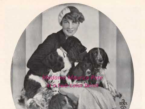 Polish Tango 1938: Mieczysław Fogg - Skończona pieśń (The Ended Song)