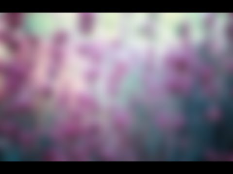 NOT YOUR DOPE - Indestructible (feat. MAX) (Ben Walter Remix)