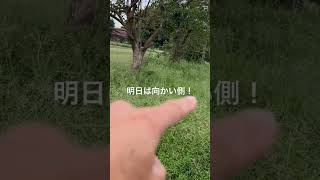 草刈り作業・菜園カボチャ収穫