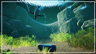 Best enrichment animations | Planet Zoo