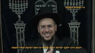 הגאון הרב יעקב ישראל הכהן שליט"א הלכות סיכה בשבת פרשת עקב תשפ"ה (דר וסוחרת - הלוויין של מרן) - התמונה מוצגת ישירות מתוך אתר האינטרנט יוטיוב. זכויות היוצרים בתמונה שייכות ליוצרה. קישור קרדיט למקור התוכן נמצא בתוך דף הסרטון הגאון הרב יעקב ישראל הכהן שליט"א הלכות סיכה בשבת פרשת עקב תשפ"ה (דר וסוחרת - הלוויין של מרן) - התמונה מוצגת ישירות מתוך אתר האינטרנט יוטיוב. זכויות היוצרים בתמונה שייכות ליוצרה. קישור קרדיט למקור התוכן נמצא בתוך דף הסרטון