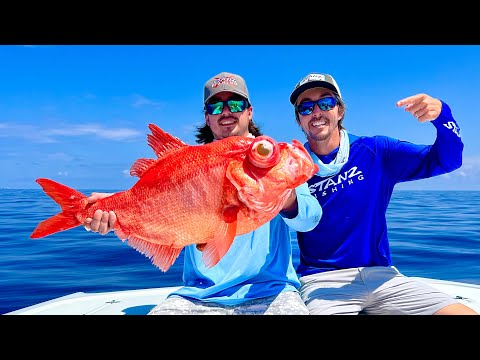 RARE Deep Sea Fish! 42' Freeman Fishing in the Florida Keys!