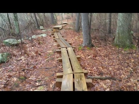 Midstate trail, Douglas state forest in Massachusetts