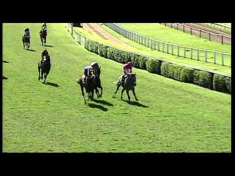 Clairwood 11082013 race 1